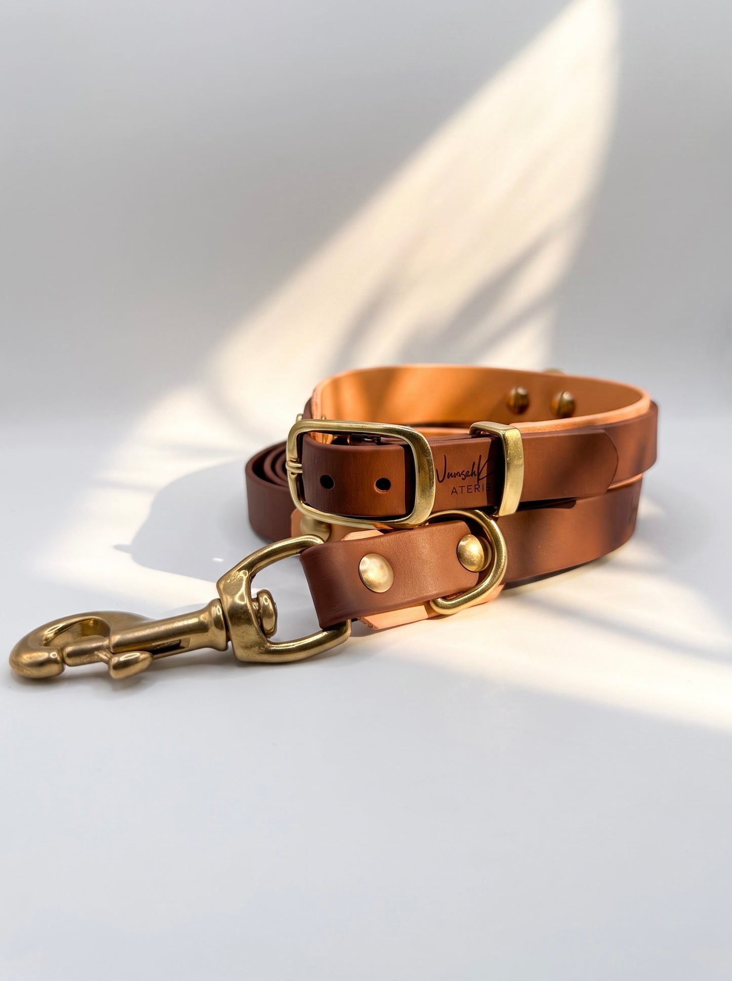 Hundeset aus BioThane in braun und golden copper mit Messing Gold Beschlägen. 