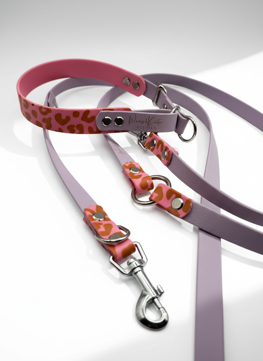 Hundeset aus biothane in rosa und lila mit Leo Details. Beschläge Messing Silber  