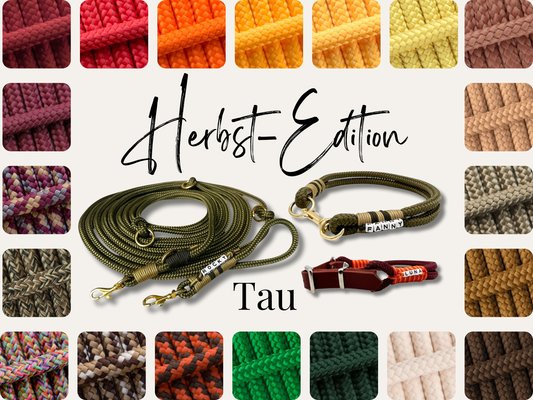 Tau 10mm Seil Wunschfarbe Herbst-Edition