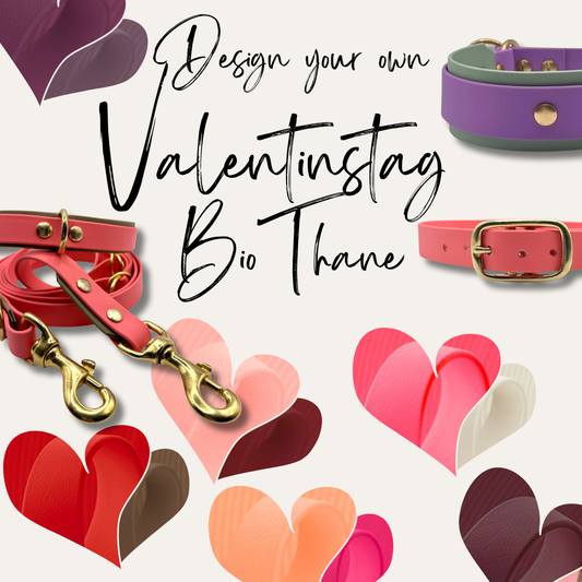 VALENTINSTAG BioThanehalsband oder Biothaneset
