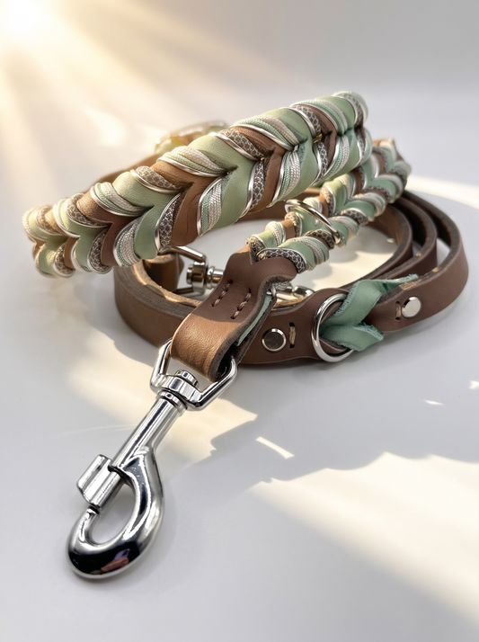 Hunde set aus Fettleder bestehend aus Halsband und Leine in den Farben Schlamm und mint. Geeignet für kleine, mittlere und große Hunde, da es a das Gewicht und Größe angepasst wird. Details in grau, Silber und grün.