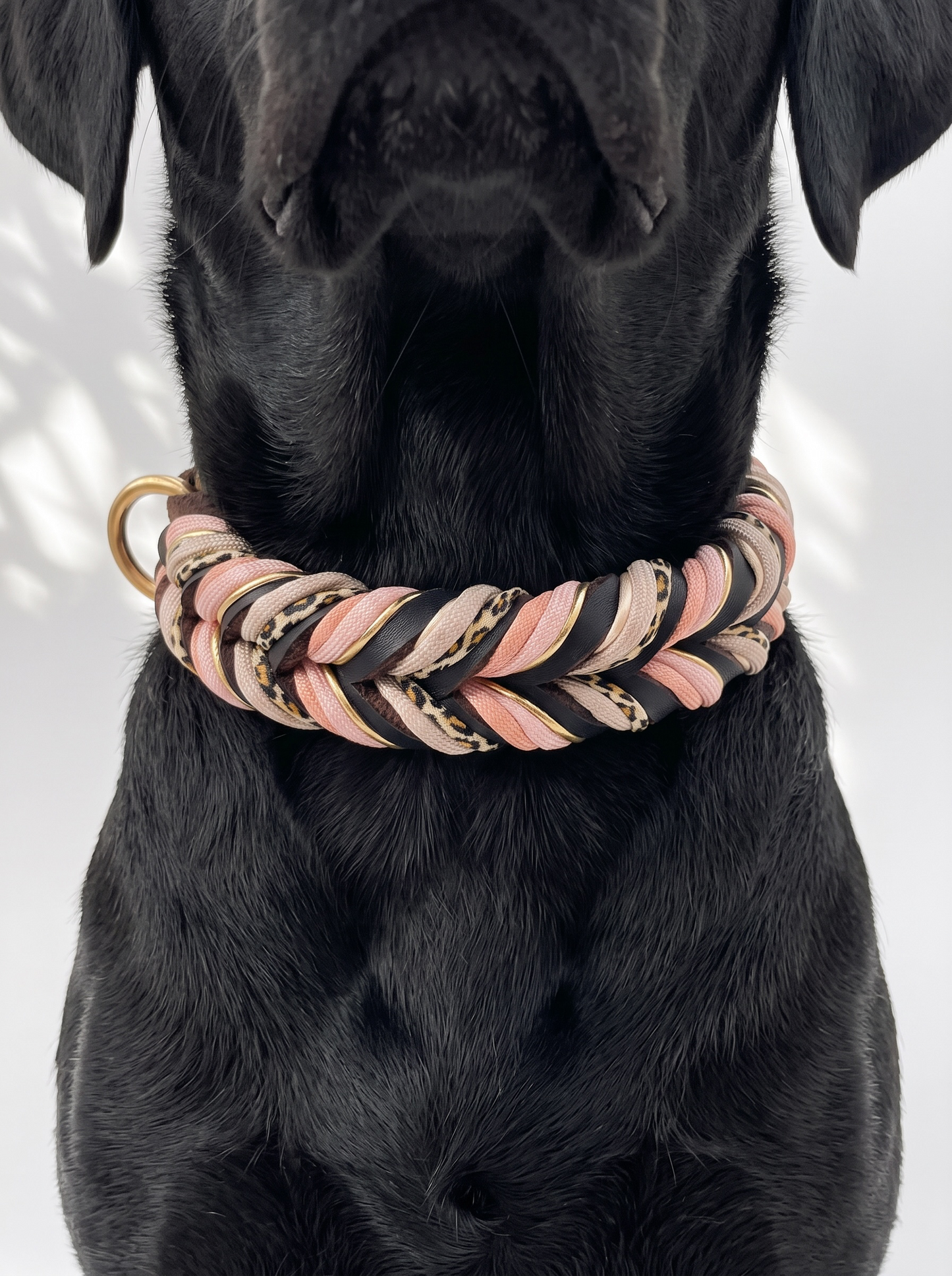 Lederhalsband geflochten mit Leo-Details und kupfer farbenen Details. Handgefertigt und individuell anpassbar an jede Hundegröße. Halsband getragen an einem schwarzen Hund 