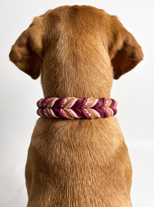 Hundehalsband aus Leder geflochten mit Blumenband In rot und braun und schmuckband verstellbar - getragen von einem braunen hund