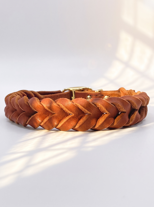 Lederhalsband in braun mit goldenen Details. Geflochtenes Fettleder in der Farbe Whisky. Geeignet für alle Hunde, da die Breite an das Gewicht angepasst wird. Rückansicht 