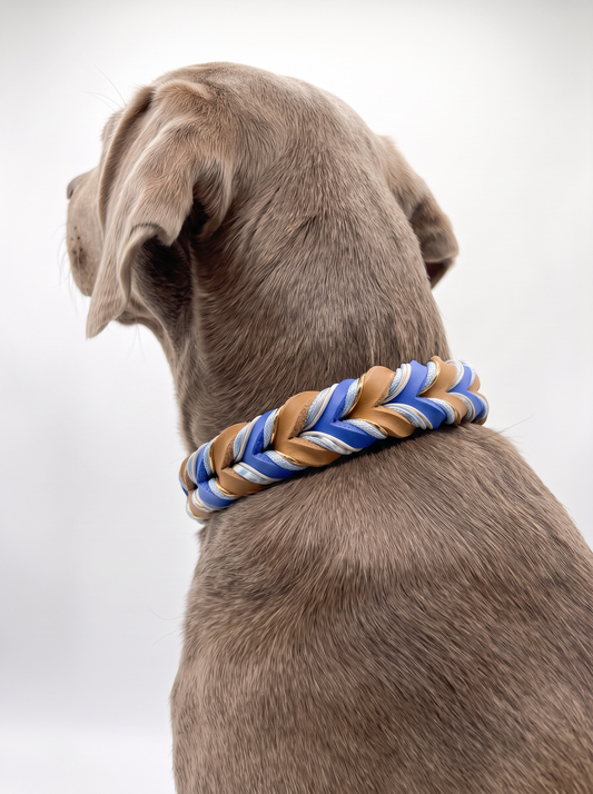 Lederhalsband geflochten in Braun und Blau mit Blumenband Details. Königsblau x Camel aus Fettleder. Anpassbar und personalisierbar. Ansicht Hund getragen 