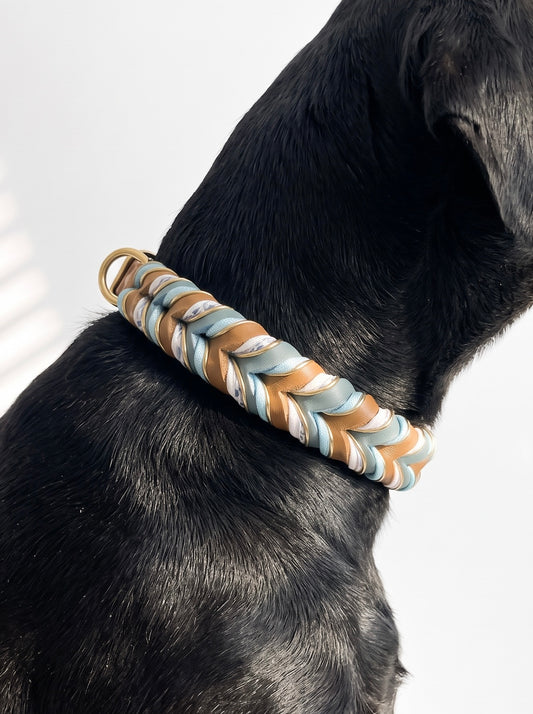 Schwarzer Hund mit geflochtenen Lederhalsband im braun und blau mit Blumenmuster und goldenen Details. 