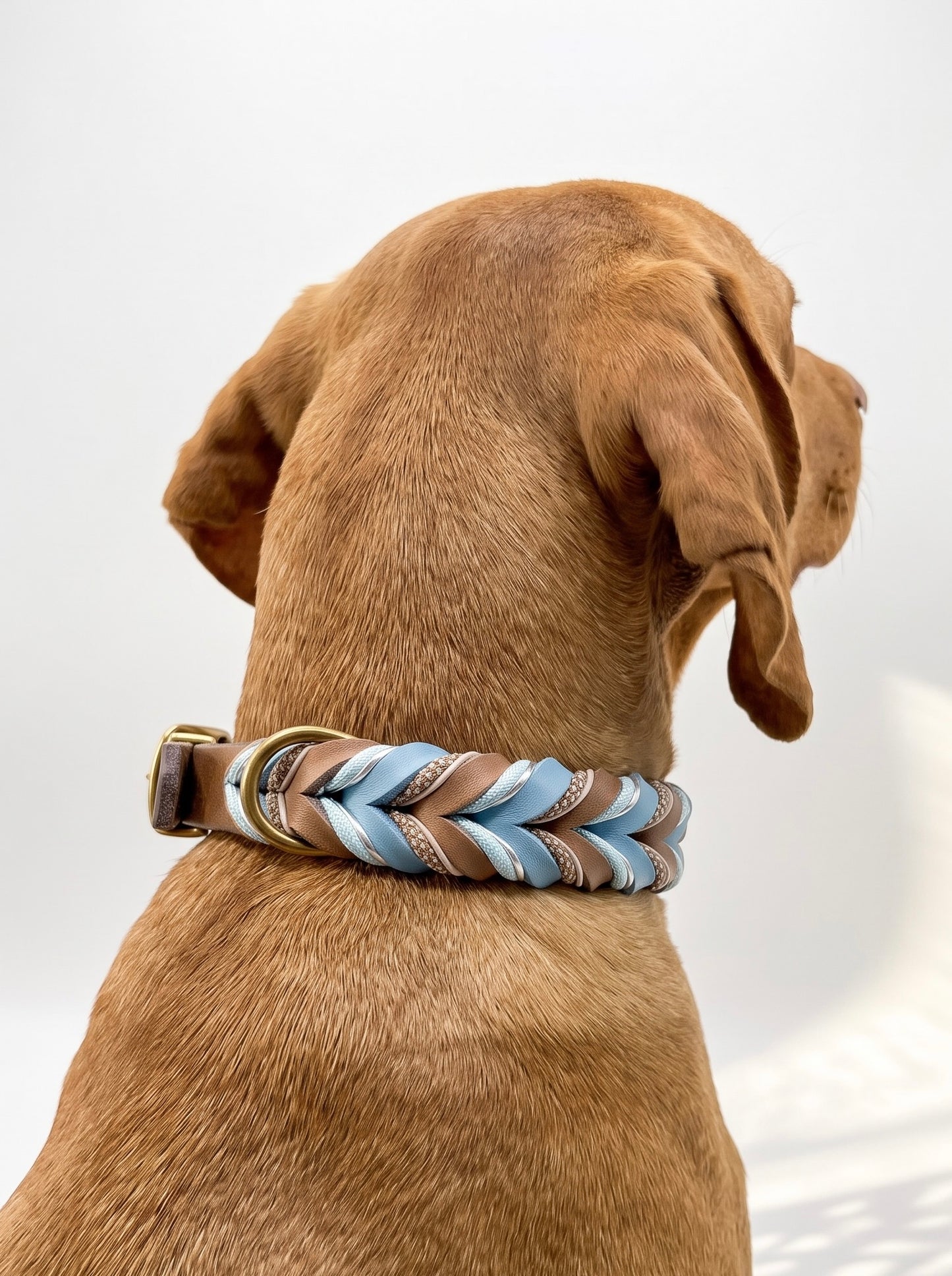 Lederhalsband geflochten aus Fettleder in braun und blau mit silbernen Details. Handgefertigt und individuell anpassbar. Lederhalsband getragen an einem braunen Hund 