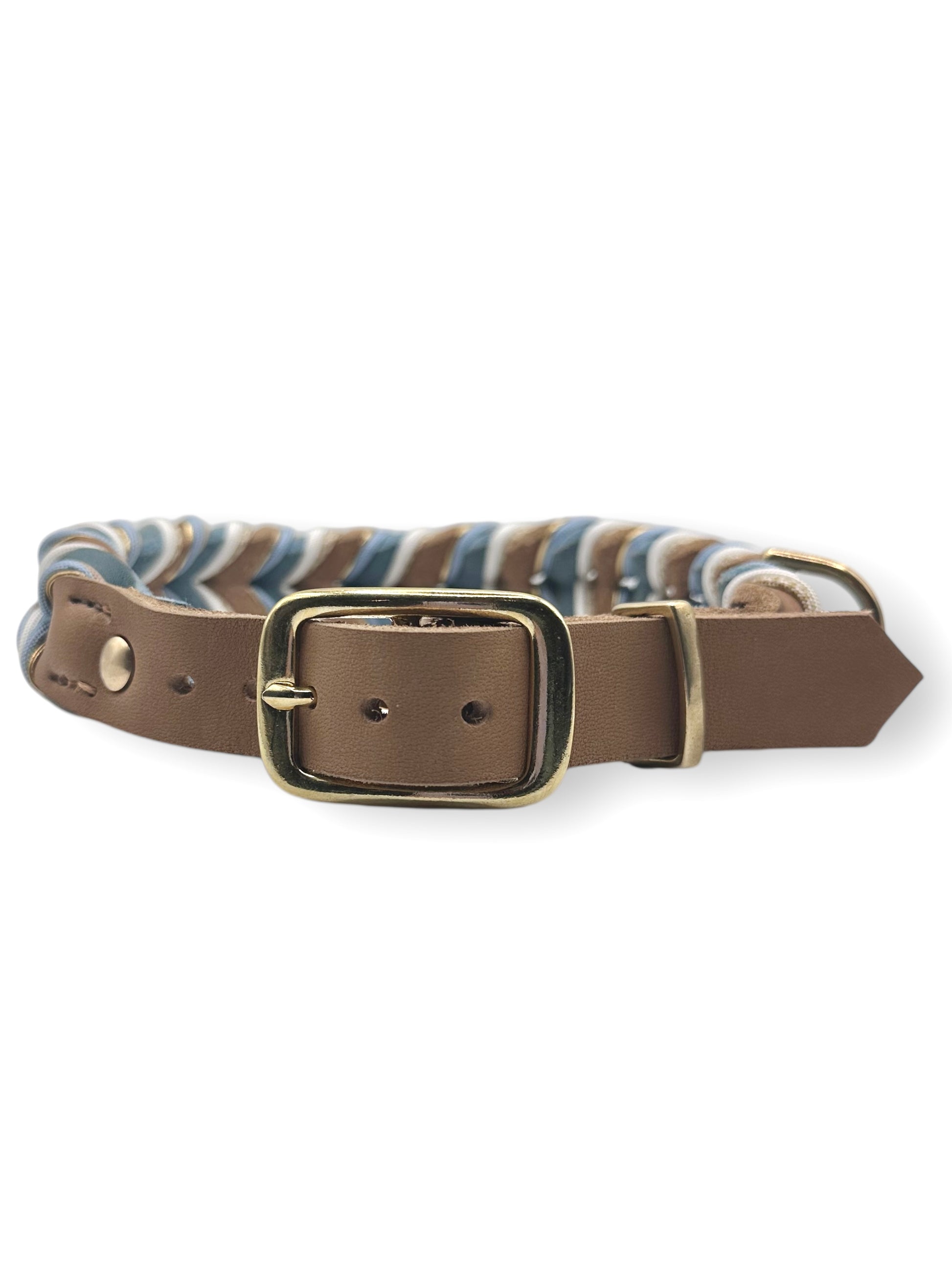 Hundehalsband aus Leder in braun mit blauen und goldenen Details. In verschiedenen Breiten erhältlich, somit geeignet für alle Hundegröße.