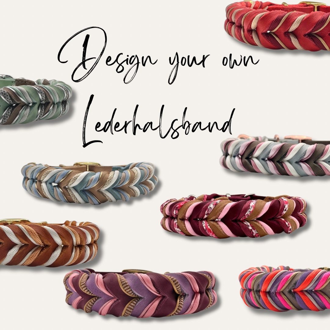 Lederhalsband Konfigurator. Designe dein eigenes Hundehalsband aus Leder. Du kannst jedes Detail über Farbe bis hin zur Breite selber wählen.