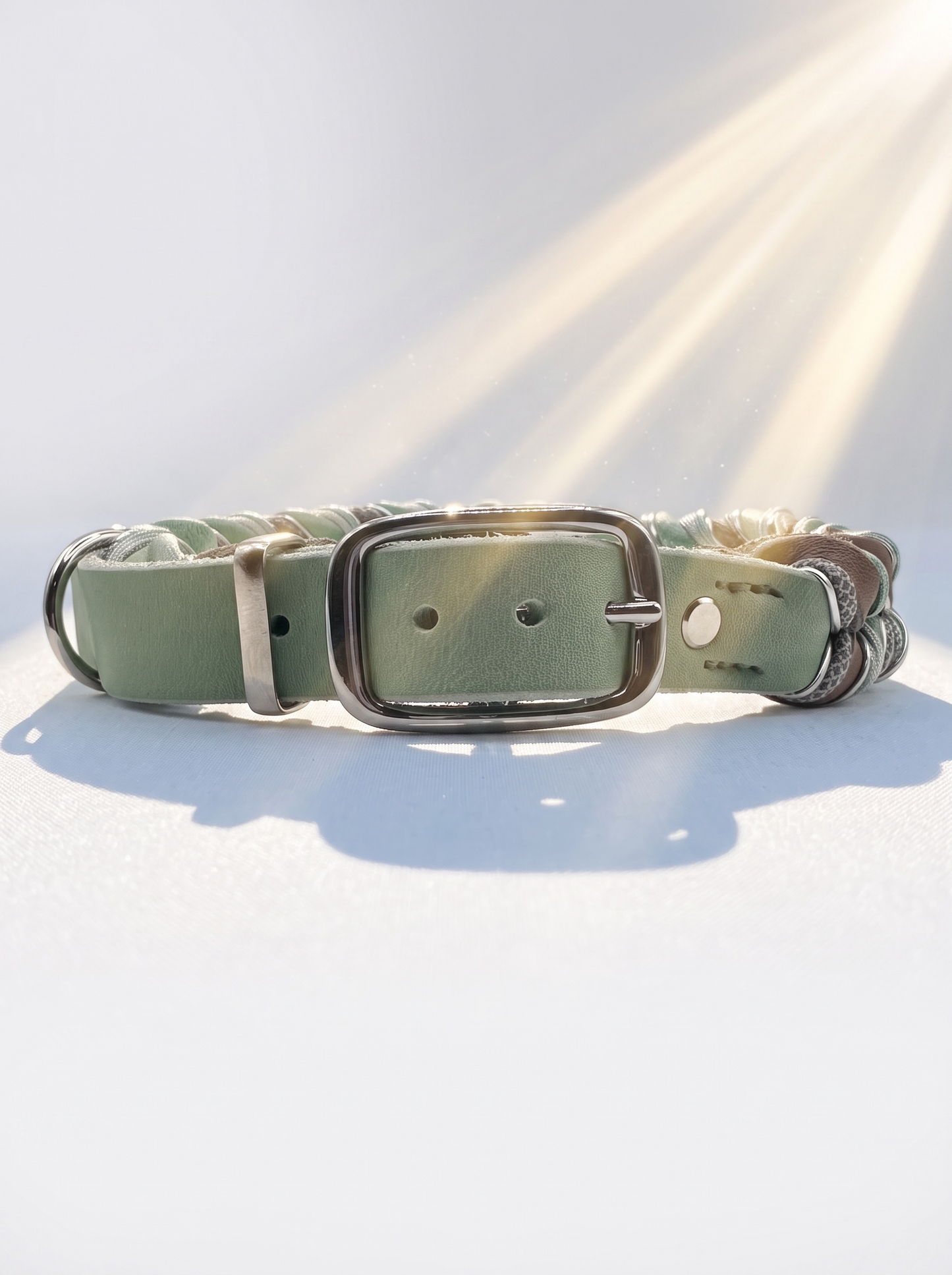 Hunde set aus Fettleder bestehend aus Halsband und Leine in den Farben Schlamm und mint. Geeignet für kleine, mittlere und große Hunde, da es a das Gewicht und Größe angepasst wird. Details in grau, Silber und grün. Ansicht Halsband vorne Doppelstegschnalle