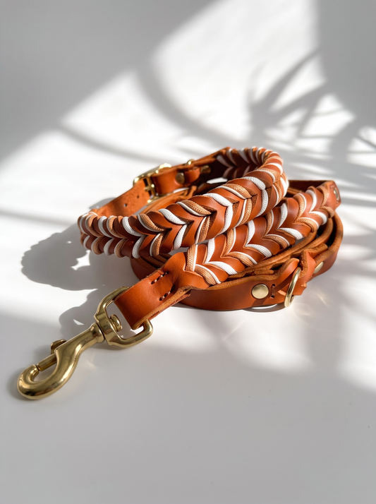 Hundeset aus Fettleder in Braun mit Kupfer und weißen Details. Lederhalsband und Lederleine Geeigent für kleine, mittlere und große Hunde, da es individuell an deinen Hund angepasst wird. Verschiedene Breiten und Längen personalisierbar. Set Rückansicht 