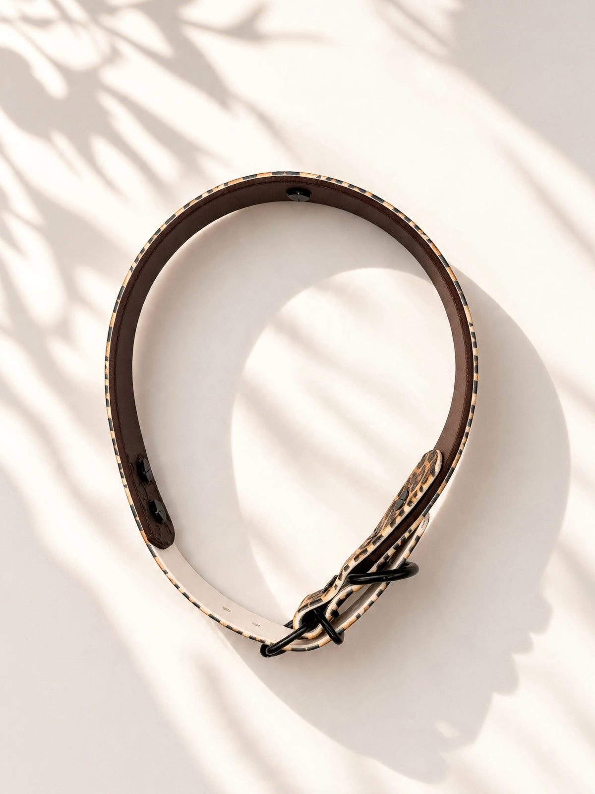 Hundehalsband aus BioThane mit Leomuster. Dunkelbraun und Leo details aus kunstleder mit schwarzen Beschlägen. Handgefertigt und individuell anpassbar in breite und Länge. Personalisierbares halsband Draufsicht 