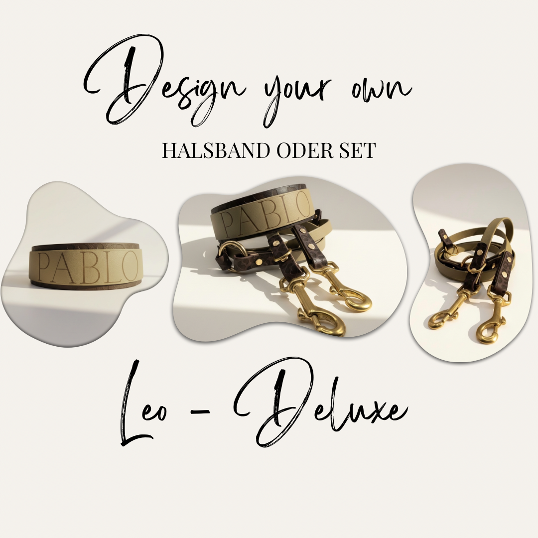 Titelbild für personalisierbares Hundehalsband und Hundeset „Leo-Deluxe“ – Halsband, Leine einzeln und als Set, individuell gestaltbar in Wunschfarbe und handgefertigt mit Namensgravur.