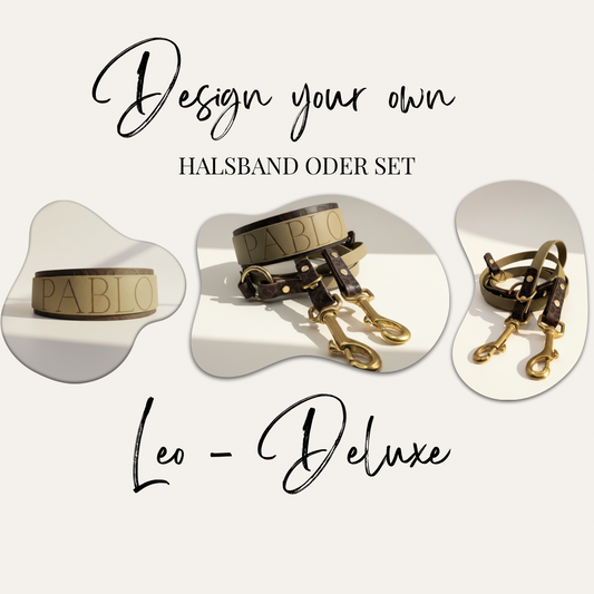 Titelbild für personalisierbares Hundehalsband und Hundeset „Leo-Deluxe“ – Halsband, Leine einzeln und als Set, individuell gestaltbar in Wunschfarbe und handgefertigt mit Namensgravur.