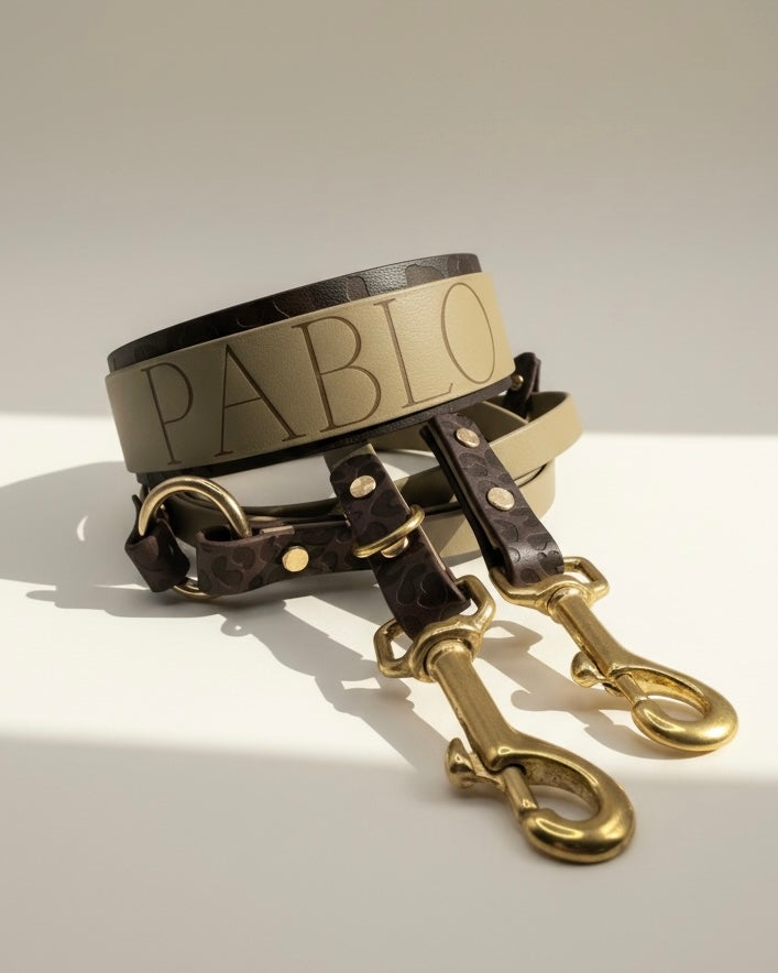 BioThane Hundeset mit Leomuster, bestehend aus Leine und Halsband, Ansicht von hinten mit Namensgravur, personalisierbar in Wunschfarbe und handgefertigt für Hunde.