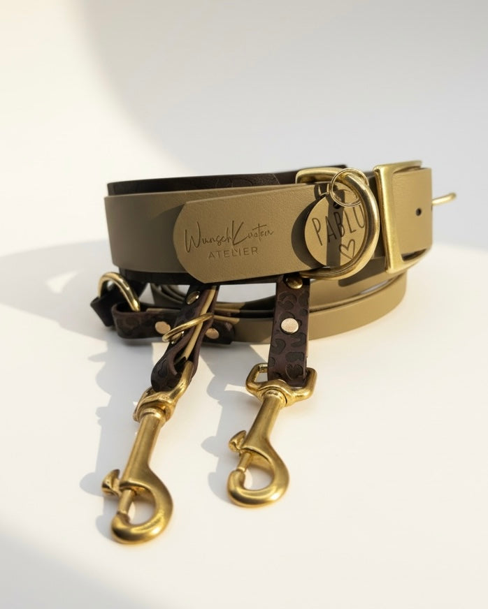 Seitenansicht eines personalisierten Hundesets aus BioThane mit Leomuster, bestehend aus Leine und Halsband mit Namensgravur, individuell gestaltbar in Wunschfarbe und handgefertigt.