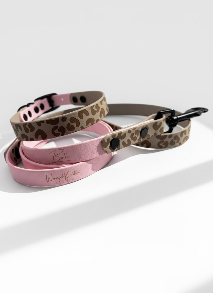 Hundehalsband und Hundeleine aus BioThane mit Leomuster in Taupe und Rosa oder deinen Wunschfarben. individuell anpassbar mit Namensgravur und Messing Beschlägen. Ansicht: Set vorne