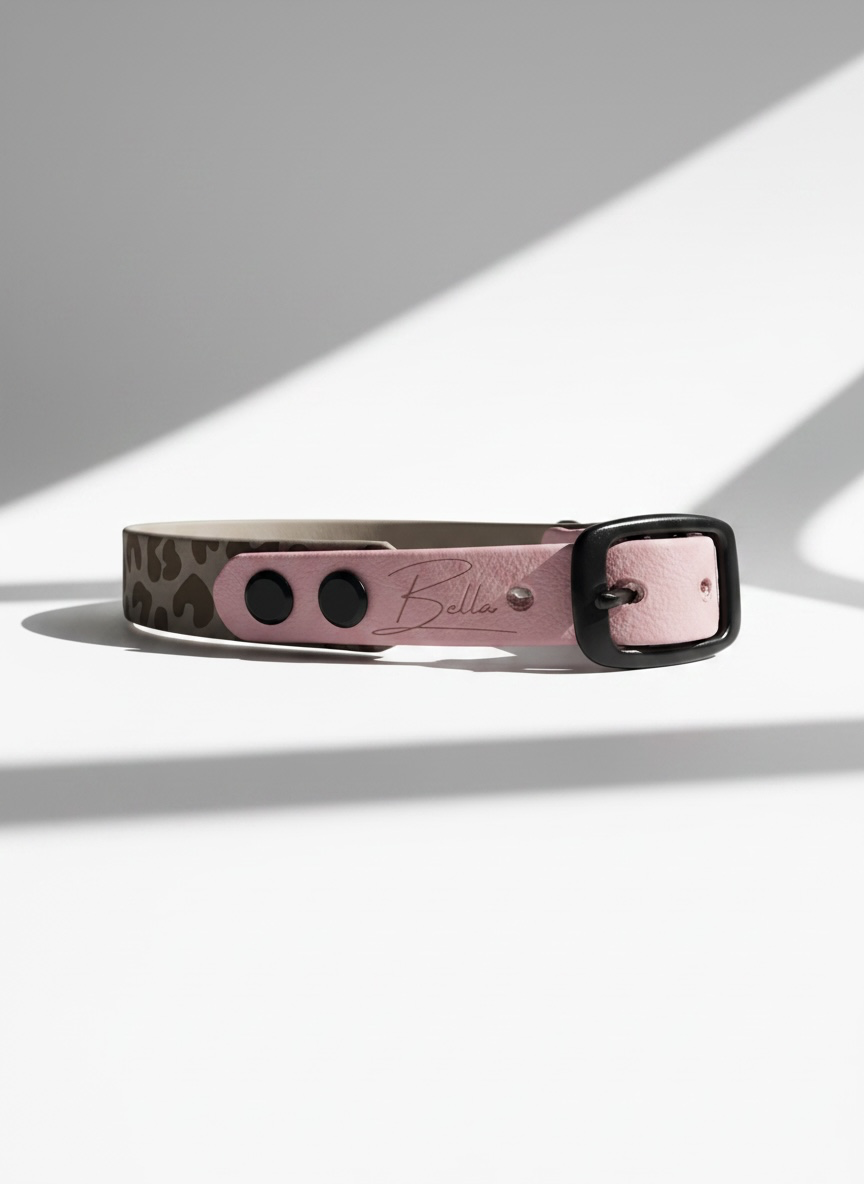 Hundehalsband und Hundeleine aus BioThane mit Leomuster in Taupe und Rosa oder deinen Wunschfarben. individuell anpassbar mit Namensgravur und Messing Beschlägen. Ansicht: Halsband Namensgravur