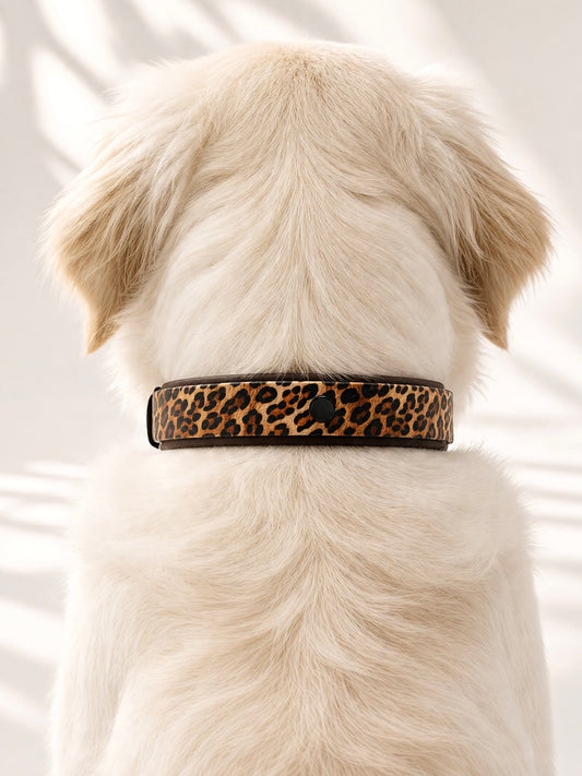 Hundehalsband aus BioThane mit Leomuster. Dunkelbraun und Leo details aus kunstleder mit schwarzen Beschlägen. Handgefertigt und individuell anpassbar in breite und Länge. Personalisierbares halsband getragen an einem weissen hund. 