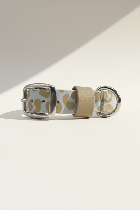 Hundehalsband mit leomuster und hellblau mit silbernen Beschlägen aus biothane 