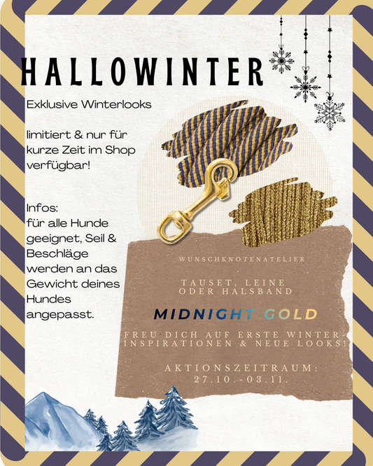 Hundeleine und Hundehalsband in winterlichen Farben. Midnight Gold - dunkelblau mit goldenen Glitzer Details. Weihnachtsgeschenk 