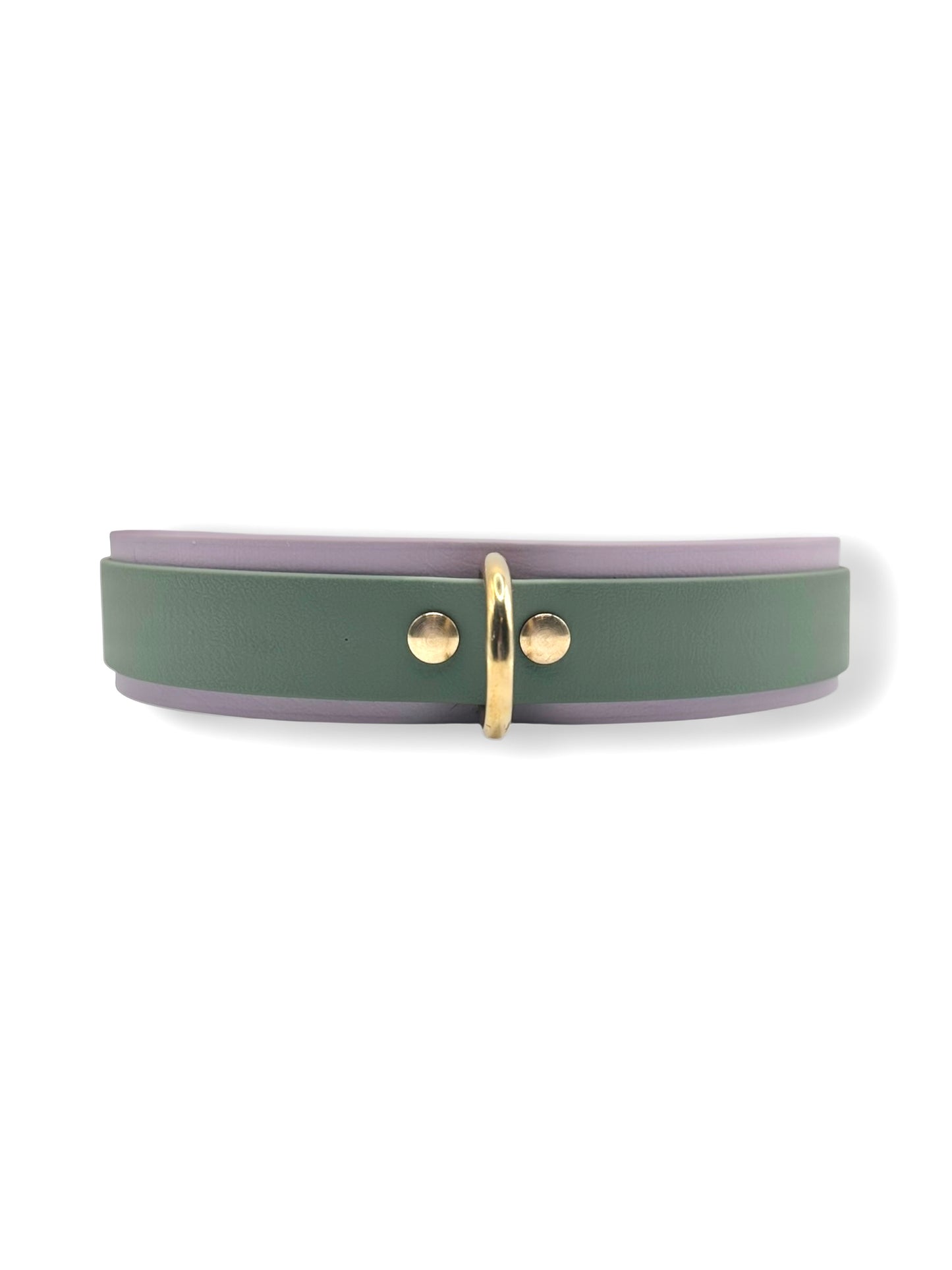 BioThane Halsband  “Foogy Grün & Pastel Lila“