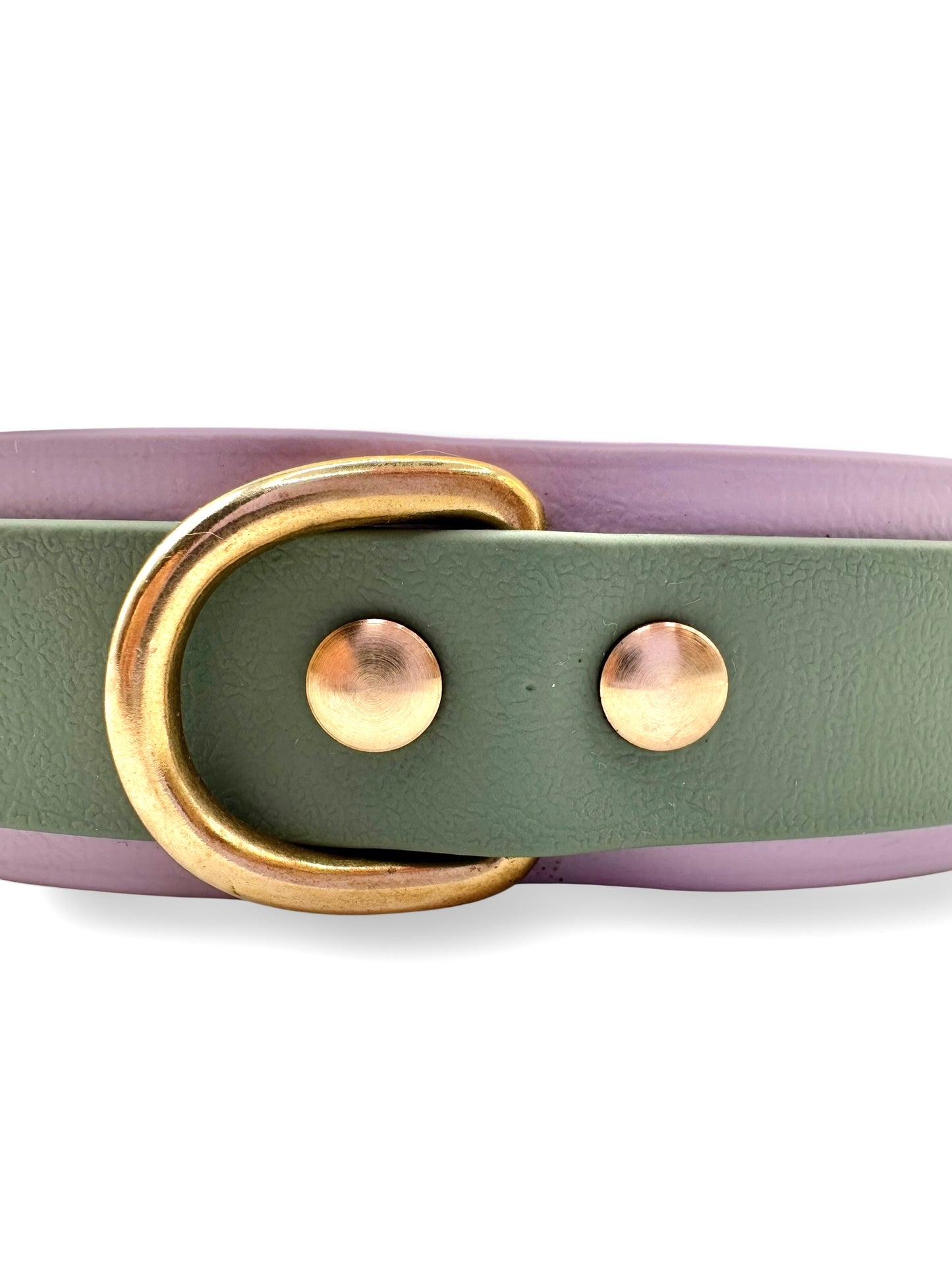 BioThane Halsband  “Foogy Grün & Pastel Lila“