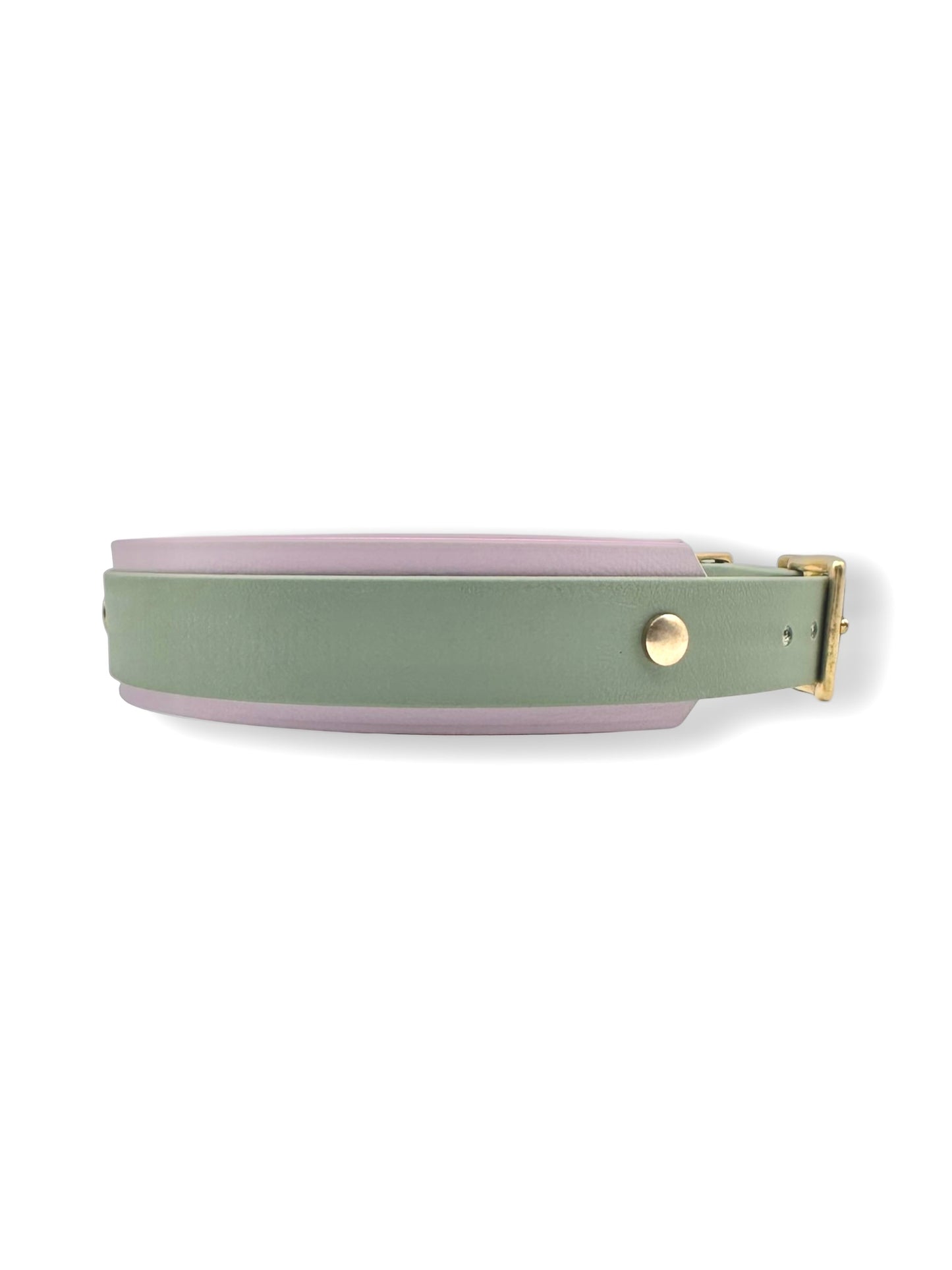 BioThane Halsband  “Foogy Grün & Pastel Lila“