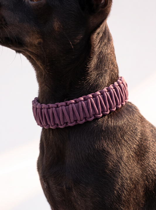 Halsband/Set BioThane MINIMAL WRAP - AUBERGINE X MARVELOUS MAUVE