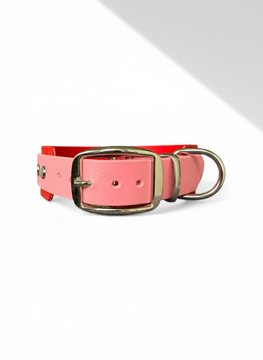 Details Verschluss biothane Halsband aus Messing Silber. Leohalsband rosa und rot 