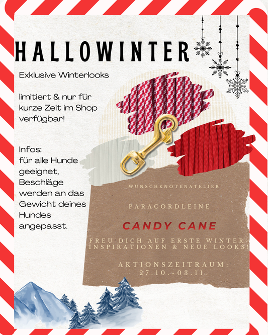 Hundeleine in winterlichen Farben Candy cane. Perfektes Weihnachtsgeschenk für alle Hundeliebhaber. Geeignet für alle Hunde, da die Leine an das Gewicht des Hundes angepasst wird.