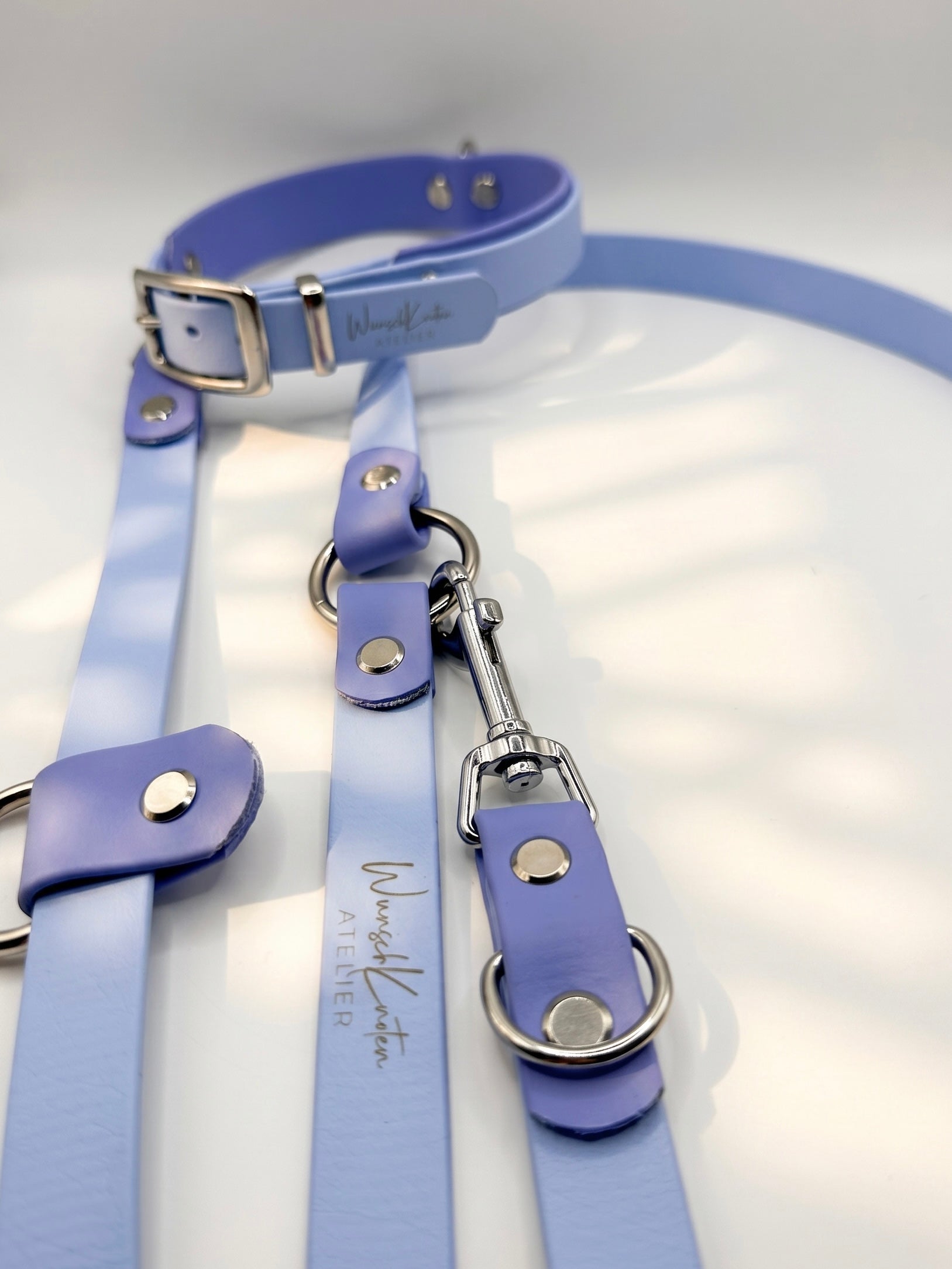 Detailaufnahme einer handgefertigten BioThane Hundeleine und eines Hundehalsbands in Polar Blau und Periwinkle mit silbernen Beschlägen – hochwertige Verarbeitung, verstellbare Leine und langlebige Materialien für kleine und große Hunde.
