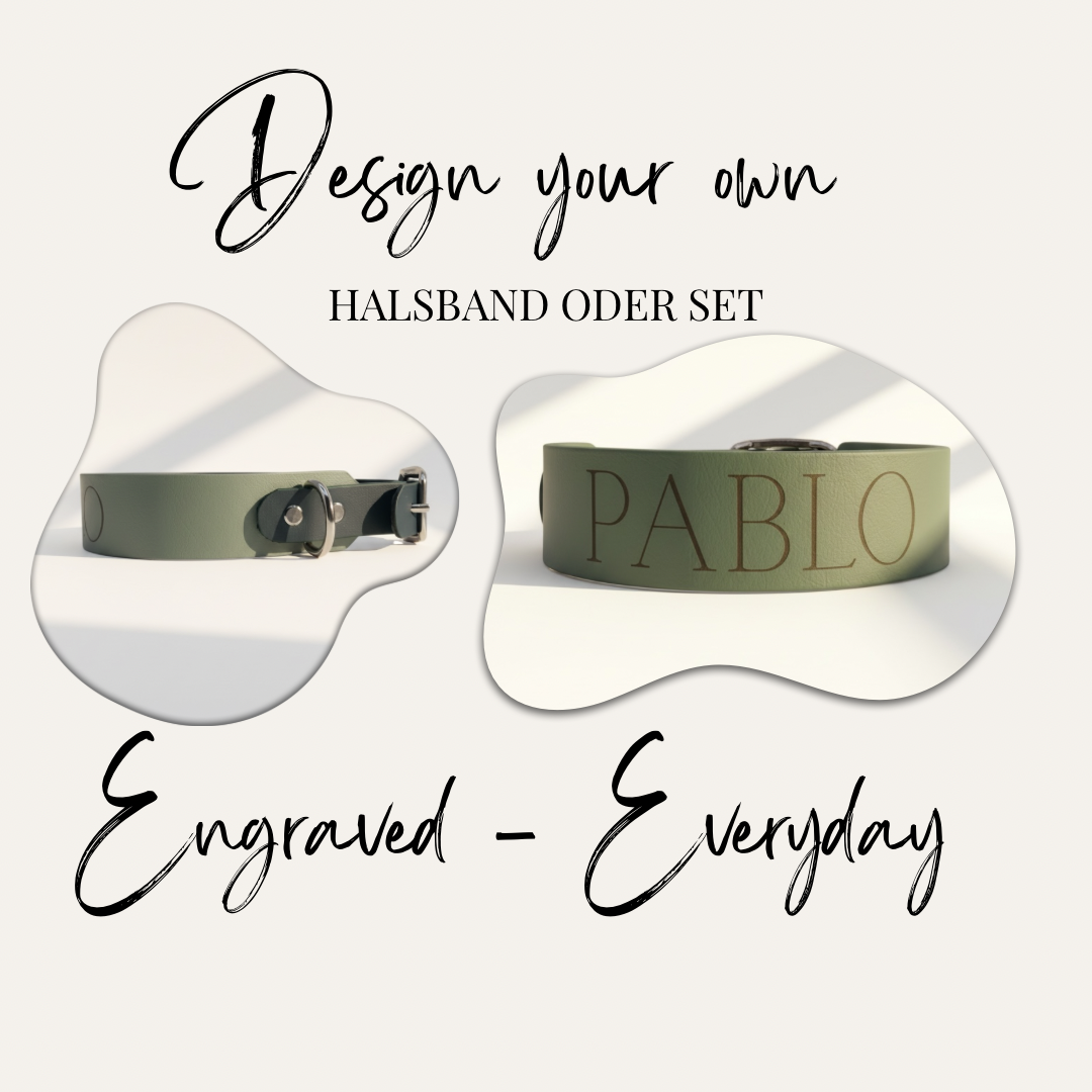 Titelbild des personalisierbaren Engraved Everyday Hundehalsbands aus zweifarbigem BioThane mit Namensgravur – Design your own Halsband oder Set.