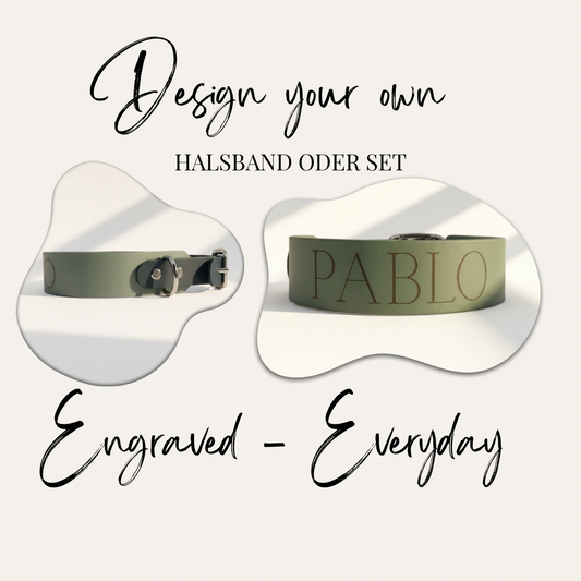 Titelbild des personalisierbaren Engraved Everyday Hundehalsbands aus zweifarbigem BioThane mit Namensgravur – Design your own Halsband oder Set.