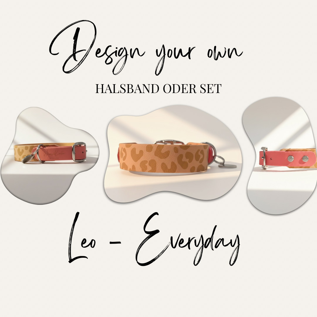 Titelbild des individuell gestaltbaren Leo-Everyday Hundehalsbands aus Leo-Print BioThane mit Verschluss aus einfarbiger BioThane.