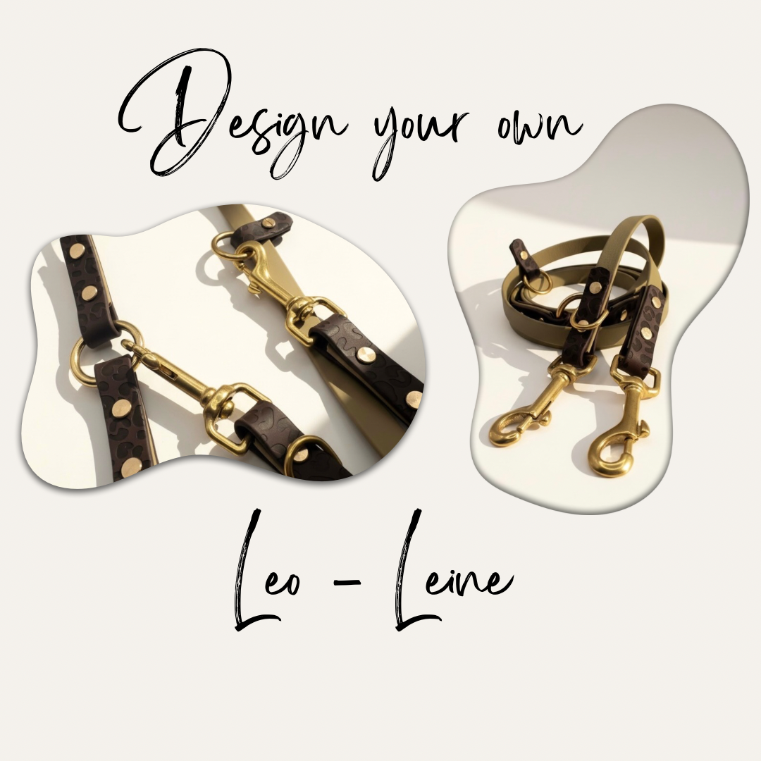 Titelbild für die konfigurierbare Leo-Leine aus BioThane, Gesamtansicht und Detailaufnahmen der Leine, personalisierbar in Wunschfarbe und individuell gestaltbar für Hunde.