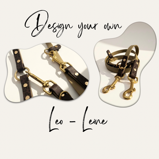 Titelbild für die konfigurierbare Leo-Leine aus BioThane, Gesamtansicht und Detailaufnahmen der Leine, personalisierbar in Wunschfarbe und individuell gestaltbar für Hunde.