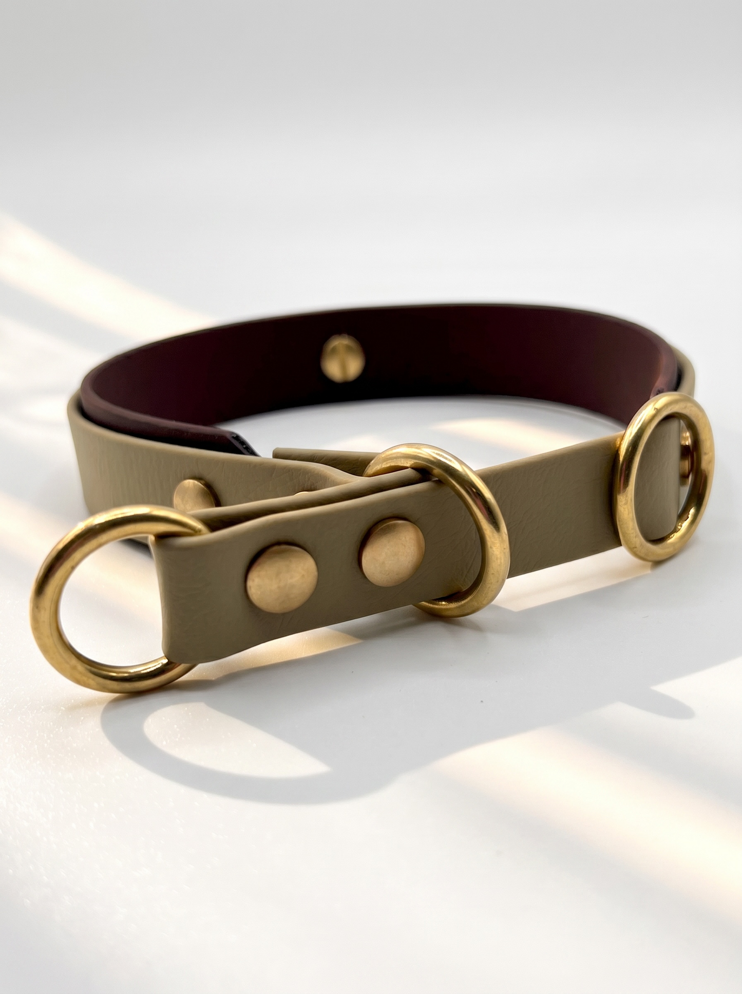 Vorderansicht des LINEA BioThane Hundehalsbandes in Beige und Dunkelbraun mit Messingbeschlägen und Zugstopp-Verschluss – handgefertigtes, zweifarbiges Hundehalsband aus BioThane.
