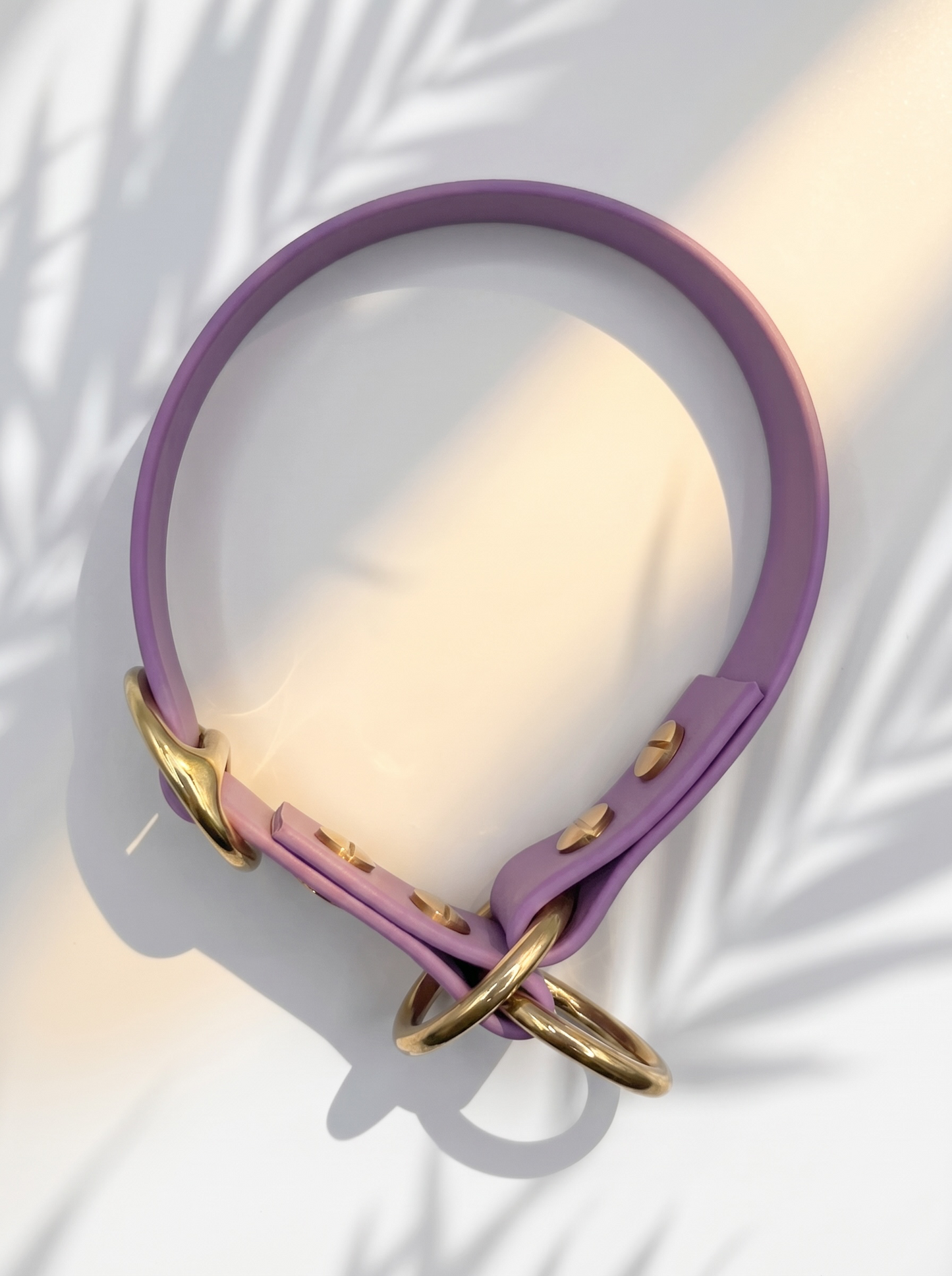 Draufsicht des MINIMAL BioThane Hundehalsbandes in Amethyst Orchidee mit Messingbeschlägen und Doppelstegschnalle zur Größenverstellung – handgefertigtes, einfarbiges Hundehalsband aus BioThane