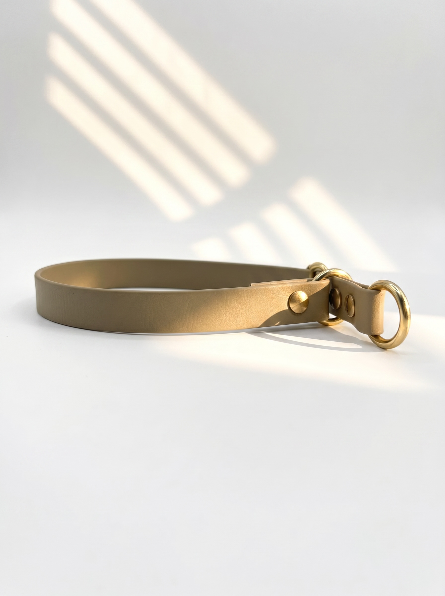 Seitenansicht des MINIMAL BioThane Hundehalsbandes in Beige mit Messingbeschlägen und Zugstopp-Verschluss – handgefertigtes, einfarbiges Hundehalsband aus BioThane.
