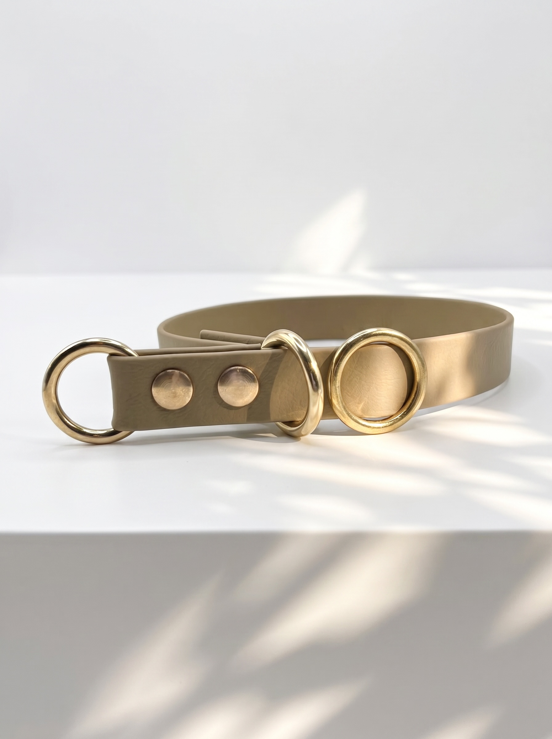 Vorderansicht des MINIMAL BioThane Hundehalsbandes in Beige mit Messingbeschlägen und Zugstopp-Verschluss – handgefertigtes, einfarbiges Hundehalsband aus BioThane.