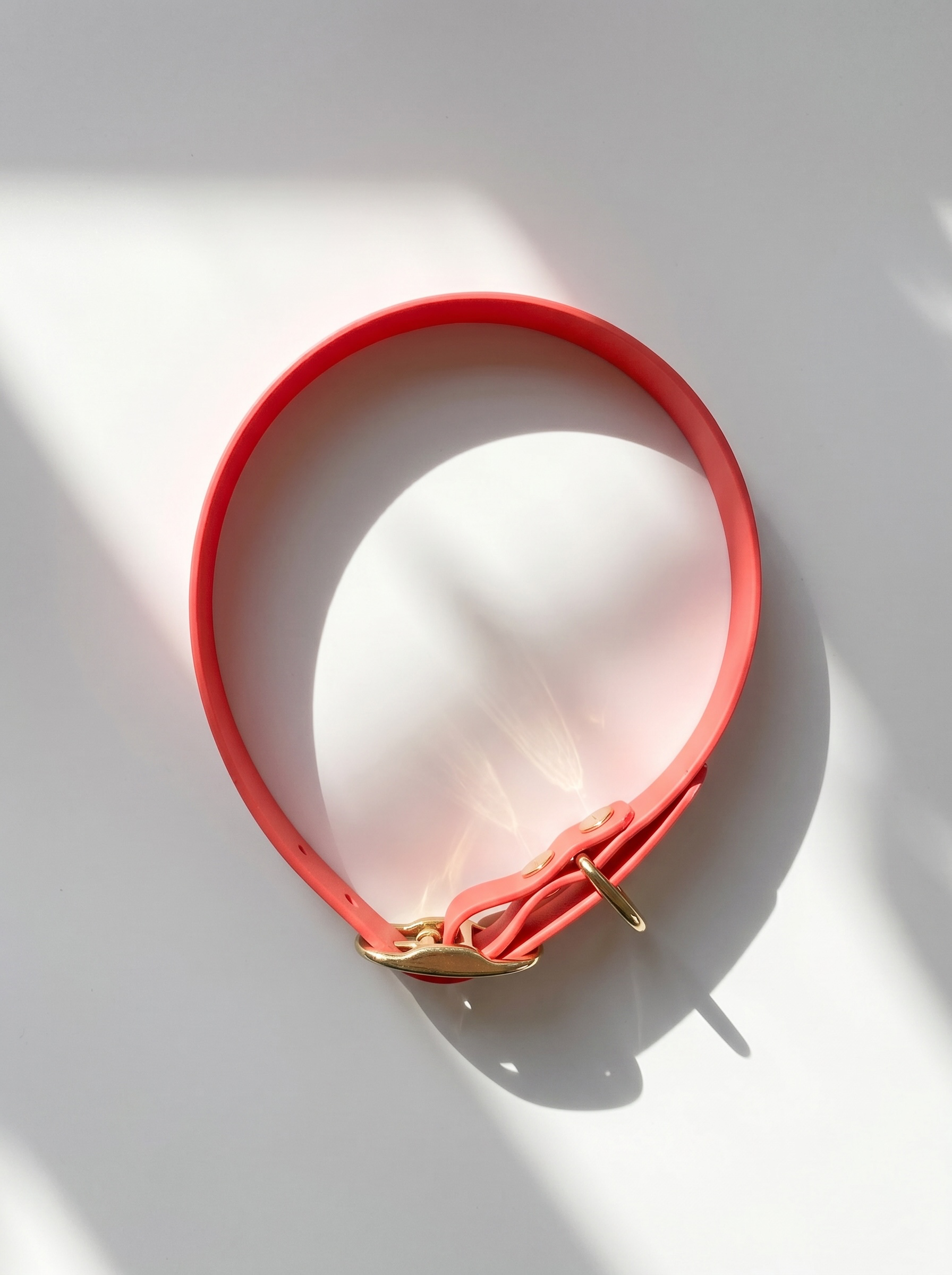 Draufsicht des MINIMAL BioThane Hundehalsbandes in Coral mit Messingbeschlägen und Doppelstegschnalle zur Größenverstellung – handgefertigtes, einfarbiges Hundehalsband aus BioThane.