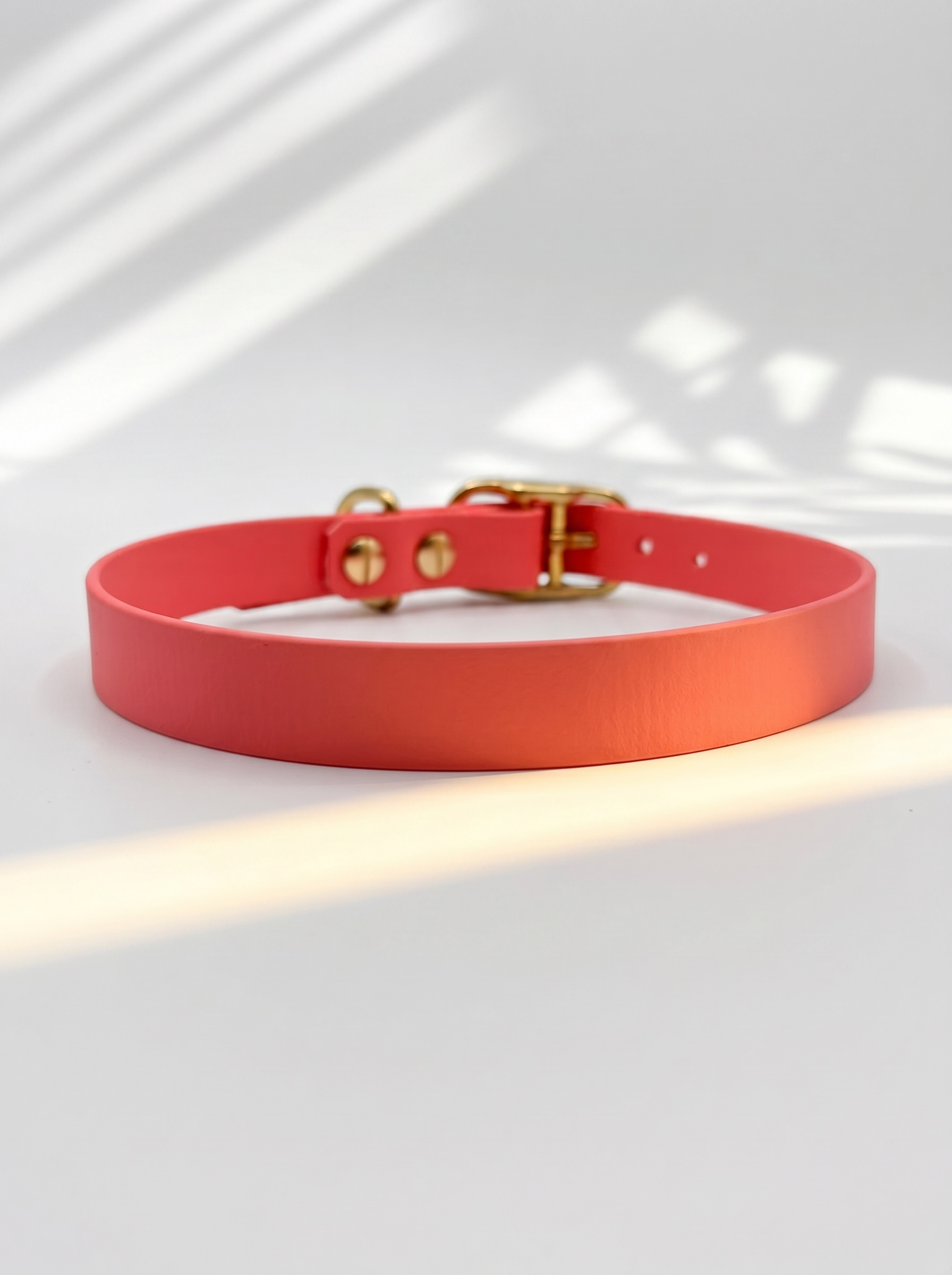 Rückansicht des MINIMAL BioThane Hundehalsbandes in Coral mit Messingbeschlägen und Doppelstegschnalle zur Größenverstellung – handgefertigtes, einfarbiges Hundehalsband aus BioThane.