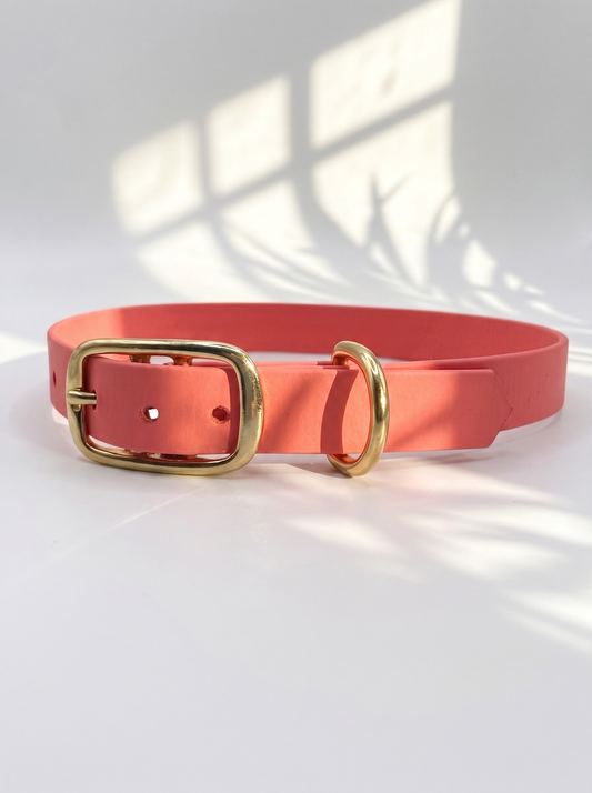 Seitenansicht des MINIMAL BioThane Hundehalsbandes in Coral mit Messingbeschlägen und Doppelstegschnalle zur Größenverstellung – handgefertigtes, einfarbiges Hundehalsband aus BioThane.