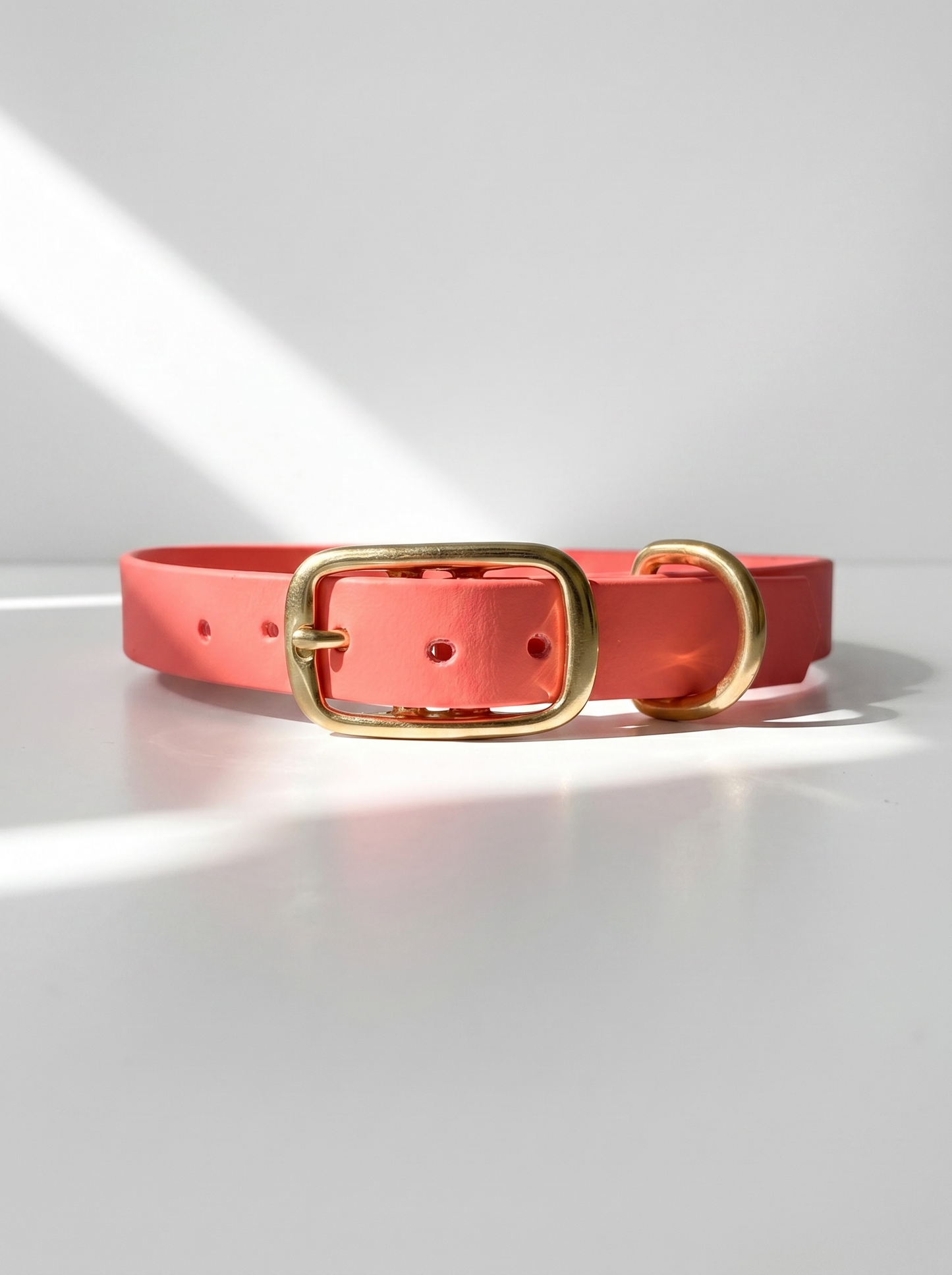 Vorderansicht des MINIMAL BioThane Hundehalsbandes in Coral mit Messingbeschlägen und Doppelstegschnalle zur Größenverstellung – handgefertigtes, einfarbiges Hundehalsband aus BioThane.