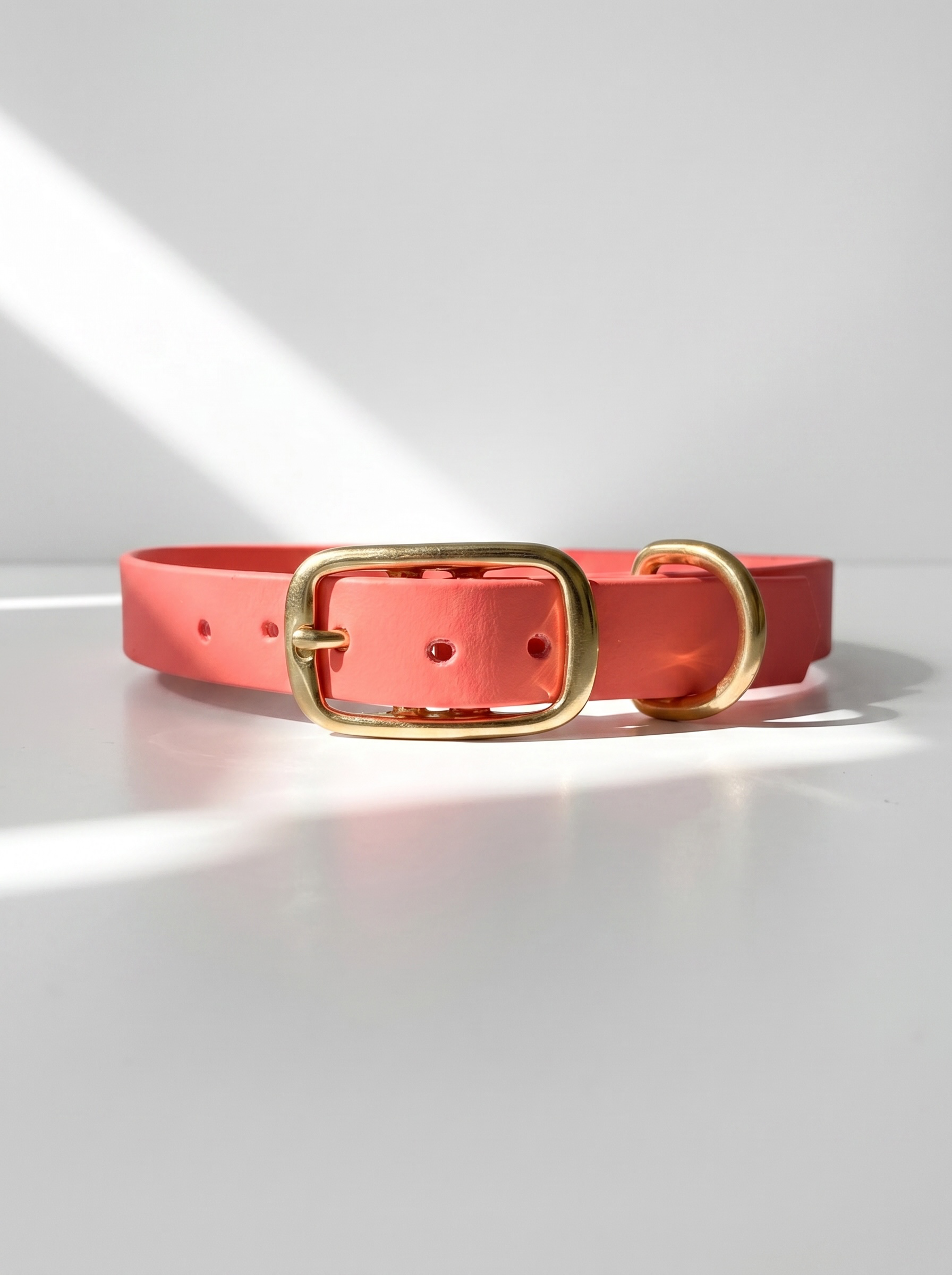 Vorderansicht des MINIMAL BioThane Hundehalsbandes in Coral mit Messingbeschlägen und Doppelstegschnalle zur Größenverstellung – handgefertigtes, einfarbiges Hundehalsband aus BioThane.