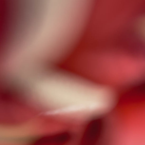 Hundeset aus Fettleder in den Farben Rot und beige. Lederhalsband und Lederleine geeignet für jeden Hund, da es individuell a das Gewicht und den Halsumfang deines Hundes angepasst wird. 