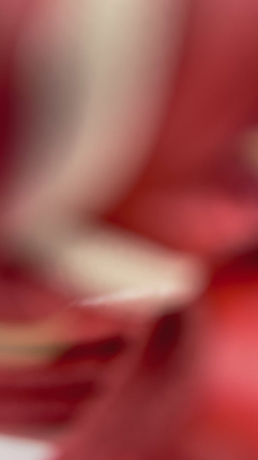 Hundeset aus Fettleder in den Farben Rot und beige. Lederhalsband und Lederleine geeignet für jeden Hund, da es individuell a das Gewicht und den Halsumfang deines Hundes angepasst wird. 