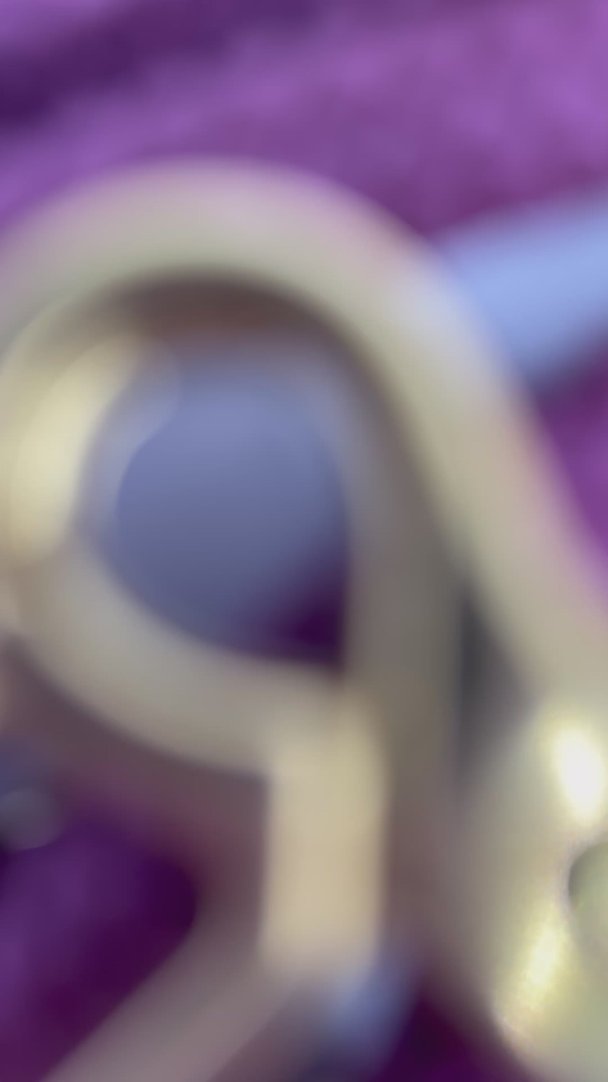 Tauleine für Hunde aus 8mm Seil in der Farbe Aubergine mit Bordeaux Details. Hundeleine in weinrot für alle Hunde geeignet, da sie an das Gewicht des Hundes angepasst wird.