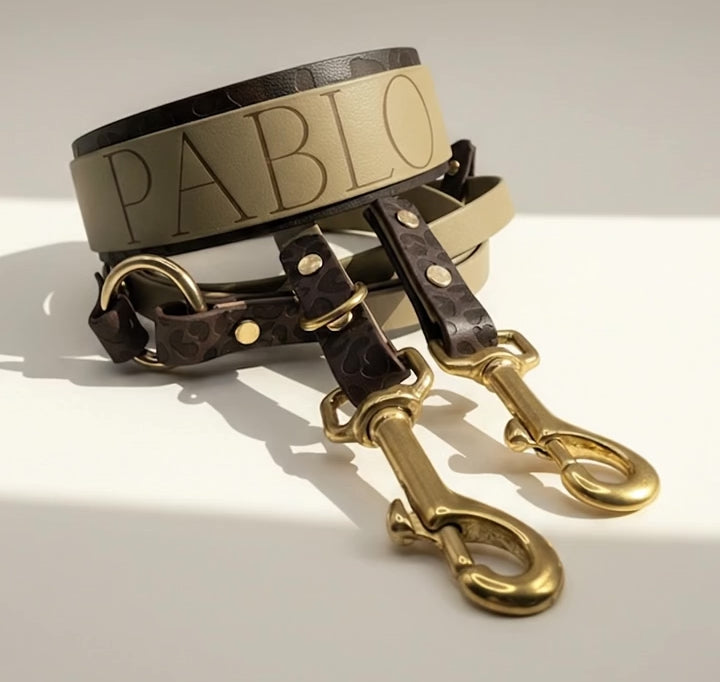 Video laden: Leohalsband und Leoleine aus der Leo-Deluxe Kollektion. In den Farben beige und Dunkelbraun mit goldene Beschlägen.